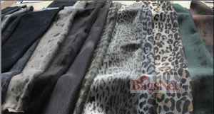 海外皮革企業(yè)爭(zhēng)搶我國(guó)海豹皮制品市場(chǎng) 機(jī)遇與挑戰(zhàn)并存